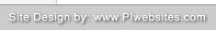 Professional, affordable web site design and hosting for Investigators